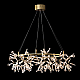 Подвесная люстра Imperium Loft Ariana D105 201173-23