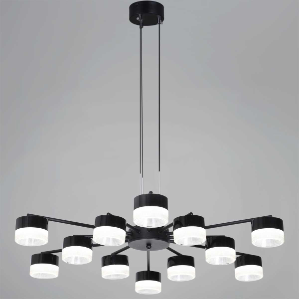 Подвесная люстра Reluce 19490-0.4-6+6 Black