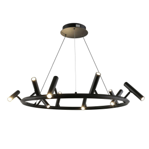 Подвесная светодиодная люстра Aployt Honor APL.067.03.50