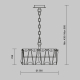 Подвесная люстра Maytoni Puntes MOD043PL-04CH