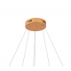 Подвесная светодиодная люстра Zortes RINGOLIGHT ZRS.33320.63C