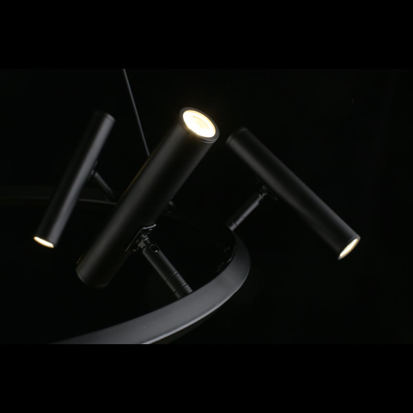 Подвесная светодиодная люстра Aployt Honor APL.067.03.40