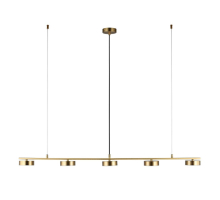 Подвесная светодиодная люстра Aployt Usia APL.047.13.35