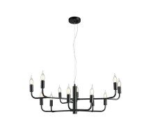 Люстра подвесная Aployt Evlalia APL.338.13.12