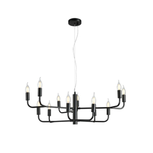 Люстра подвесная Aployt Evlalia APL.338.13.12