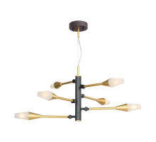 Подвесная люстра Favourite Incognita 2565-6P