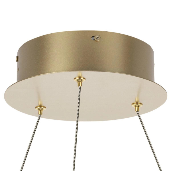 Подвесная светодиодная люстра Lightstar Rotonda 736323 Подвесная светодиодная люстра Lightstar Rotonda 736323