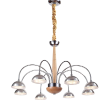 Подвесная люстра Lucia Tucci Natura 065.8 LED