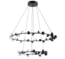 Подвесная светодиодная люстра Arte Lamp Dexter A3619SP-48BK