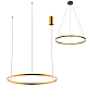 Подвесной светодиодный светильник Kink Light Тор 08214,33P(3000K)