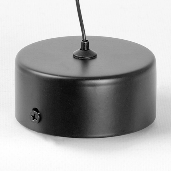 Подвесной светильник Lussole Blount LSP-7356 Подвесной светильник Lussole Blount LSP-7356