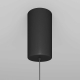 Подвесной светильник Maytoni Ray P022PL-L10B