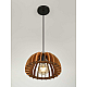 Подвесной светильник Rivoli Ivy 5111-201 Б0069914