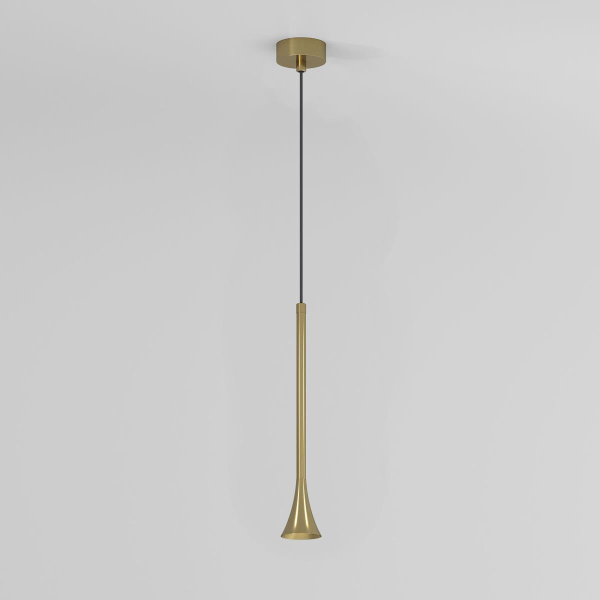 Подвесной светодиодный светильник Elektrostandard Hall 50314 LED a068821