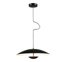 Подвесной светодиодный светильник ST Luce ARMONICO SL6502.403.01