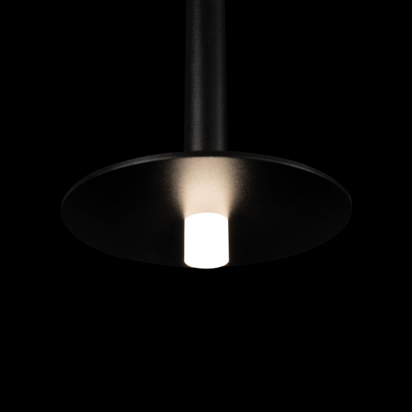 Подвесной светодиодный светильник Loft IT Reed 10358/830 Disk Подвесной светодиодный светильник Loft IT Reed 10358/830 Disk