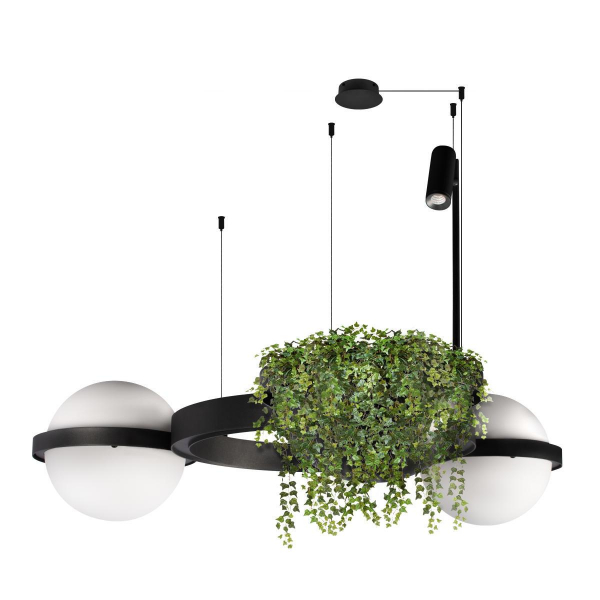 Подвесной светодиодный светильник Loft IT Jardin 10121/2 Подвесной светодиодный светильник Loft IT Jardin 10121/2