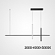 Подвесной светильник Imperium Loft Squirrel L80 Black Трехцветный Свет 220660-23