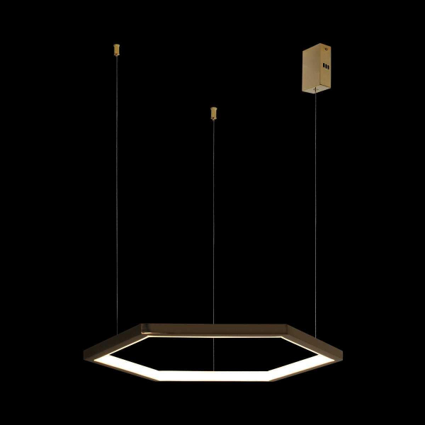 Подвесной светодиодный светильник Loft IT Ring 10016S Подвесной светодиодный светильник Loft IT Ring 10016S