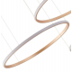 Подвесной светильник Zortes RINGOLIGHT ZRS.33320.63F