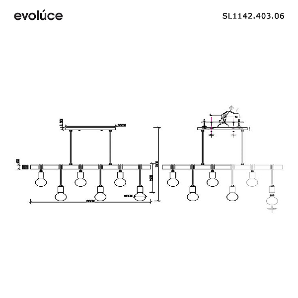 Подвесной светильник Evoluce Bagetti SL1142.403.06