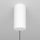 Подвесной светильник Maytoni Ray P022PL-L10W