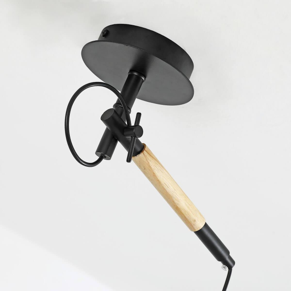 Подвесной светильник F-Promo Eureka 3006-1P Подвесной светильник F-Promo Eureka 3006-1P