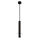 Подвесной светильник Loft IT Everest 10583A Black