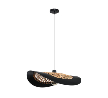Подвесной светильник Arte Lamp WOODSTOCK A7059SP-1BK