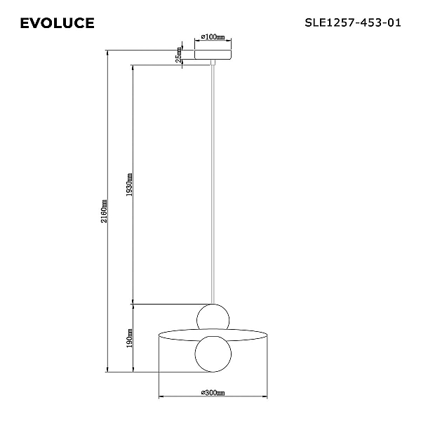 Подвесной светильник Evoluce SLE1257-453-01