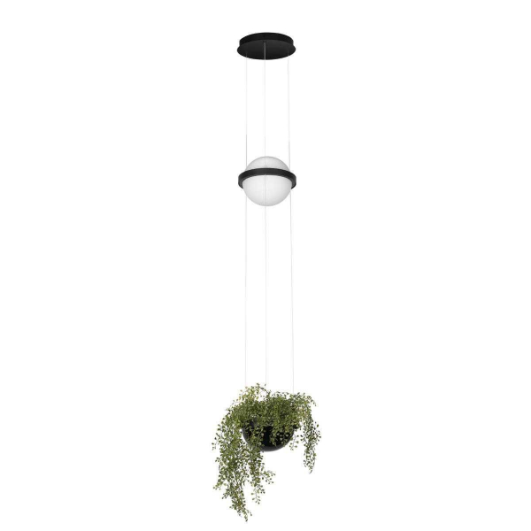 Подвесной светильник LOFT IT Jardin 10121/B Подвесной светильник LOFT IT Jardin 10121/B