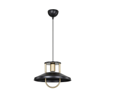 Подвесной светильник Toplight Magdalen TL1659H-01BK