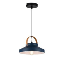 Подвесной светильник Toplight Wendi TL1225H-01GR