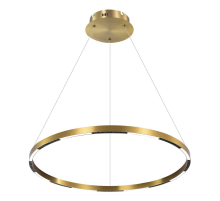 Подвесной светодиодный светильник iLedex Vision 2063-D800 BR