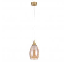 Подвесной светильник Arte Lamp Barry A7951SP-1GO