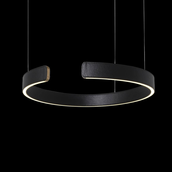 Подвесной светодиодный светильник Loft IT Ring 10025/400 Black Подвесной светодиодный светильник Loft IT Ring 10025/400 Black