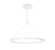Подвесной светодиодный светильник Arlight SP-Congo-Can-1-R600-36W Warm3000 046231