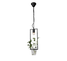 Подвесной светильник Favourite Situla 1976-1P