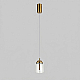 Подвесной светильник Eurosvet Palm 201056/1 LED латунь a072228