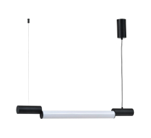 Подвесной светодиодный светильник Zortes Nepo ZRS.1888.10