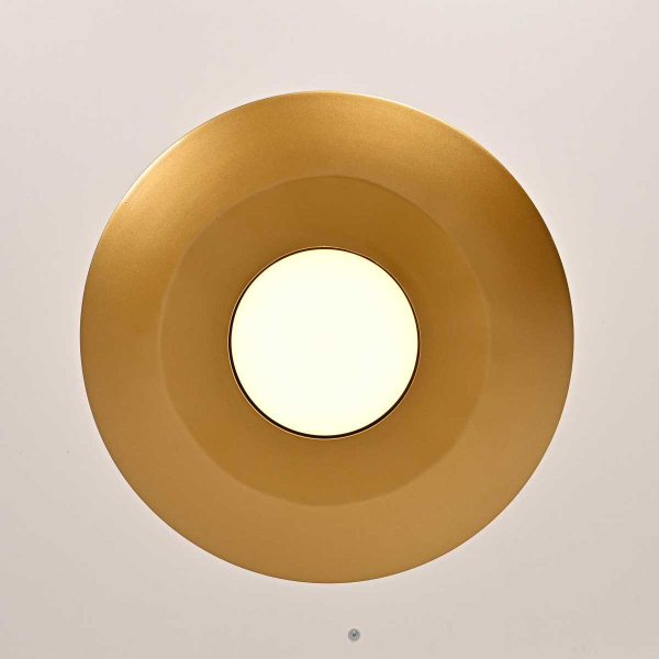 Подвесной светодиодный светильник Imperium Loft Rask 151756-26