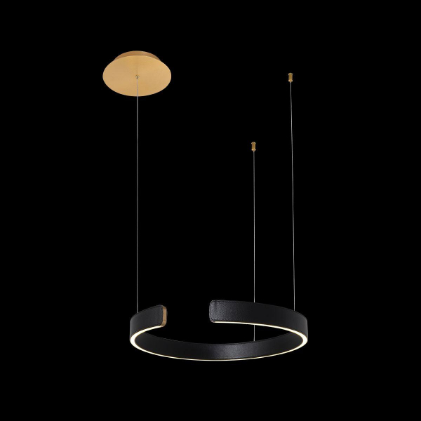 Подвесной светодиодный светильник Loft IT Ring 10025/400 Black Подвесной светодиодный светильник Loft IT Ring 10025/400 Black