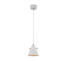 Подвесной светильник Freya Уютный / Cozy FR5211PL-01W