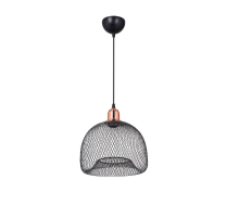 Подвесной светильник Toplight Bryanne TL1603H-01BK