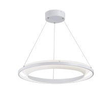 Подвесной светодиодный светильник Vitaluce V4681-0/1S