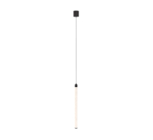 Подвесной светильник Maytoni Ray P022PL-L20B3K
