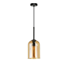 Подвесной светильник Arte Lamp Paio A7015SP-1BK