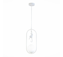 Подвесной светильник Evoluce Tenato SLE115123-01