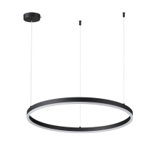 Подвесной светодиодный светильник Lumion Ledio Echo 6530/50L