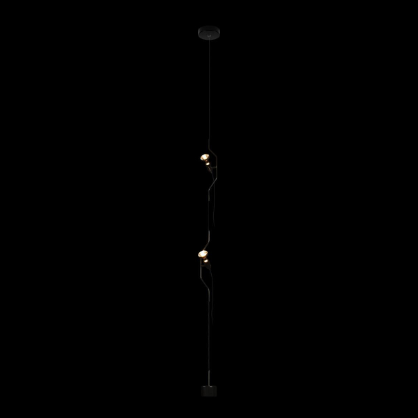 Подвесной светильник Loft IT Parentesi 10346/2 Black Подвесной светильник Loft IT Parentesi 10346/2 Black